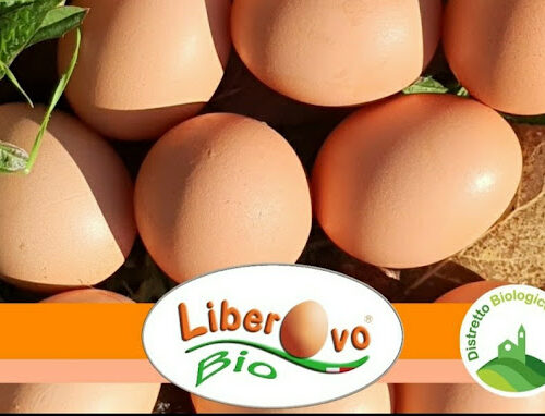 Uova Bio