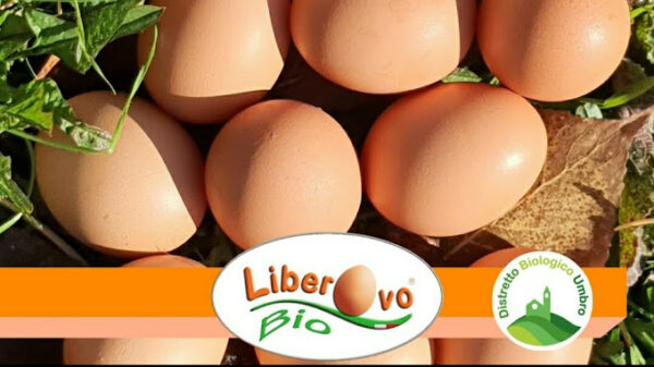 Uova Bio